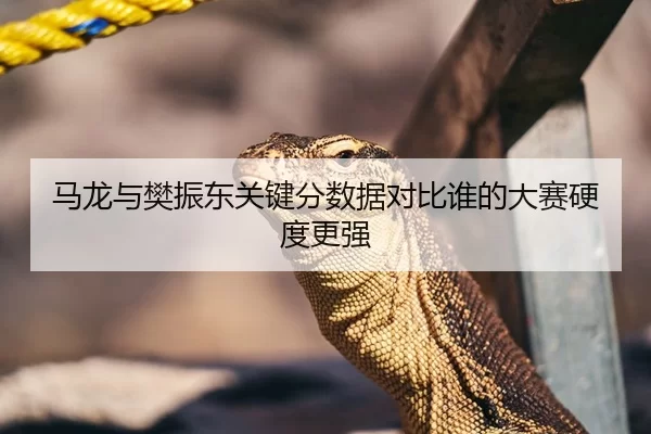 马龙与樊振东关键分数据对比谁的大赛硬度更强