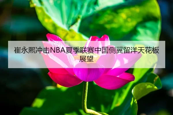 崔永熙冲击NBA夏季联赛中国侧翼留洋天花板展望