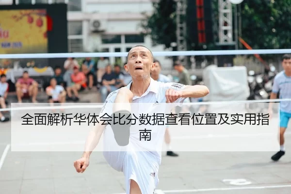 全面解析华体会比分数据查看位置及实用指南