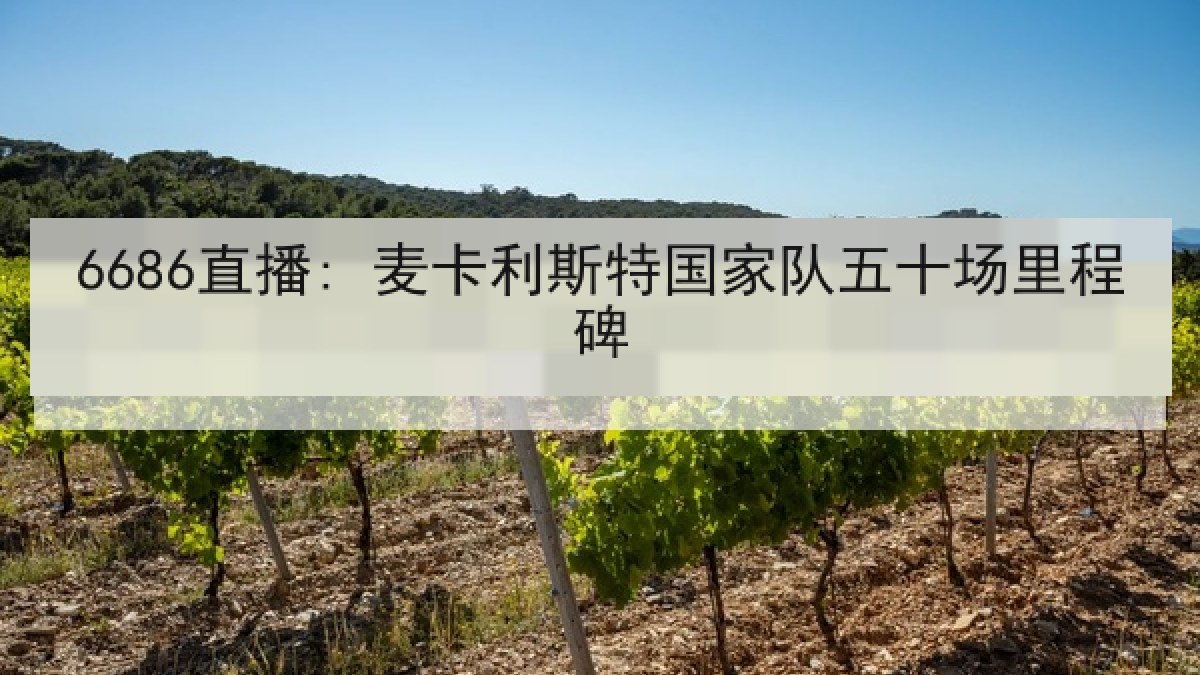 6686直播: 麦卡利斯特国家队五十场里程碑