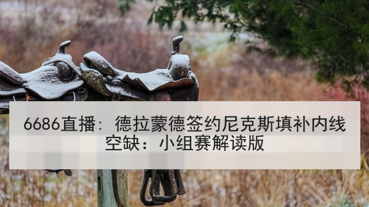 6686直播: 德拉蒙德签约尼克斯填补内线空缺：小组赛解读版