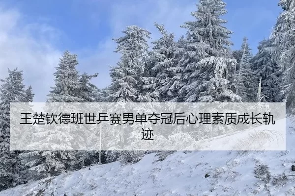 wang-chu-qin-de-ban-shi-ping-sai-nan-dan-duo-guan-hou-xin-li-su-zhi-cheng-zhang-gui-ji-3-829.jpg